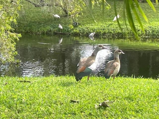 Coastal Townhome In Jupiter 1 Mile To Beach! المظهر الخارجي الصورة